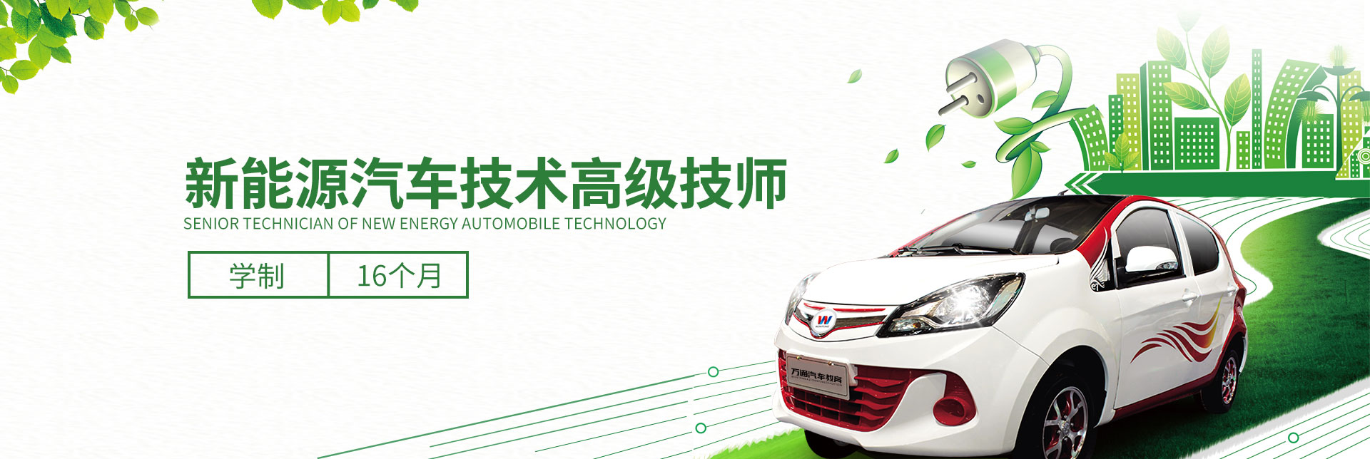 新能源汽车技术高级技师